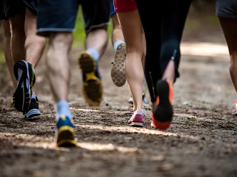 Trail de Dieulefit 2026 - La Mielleuse