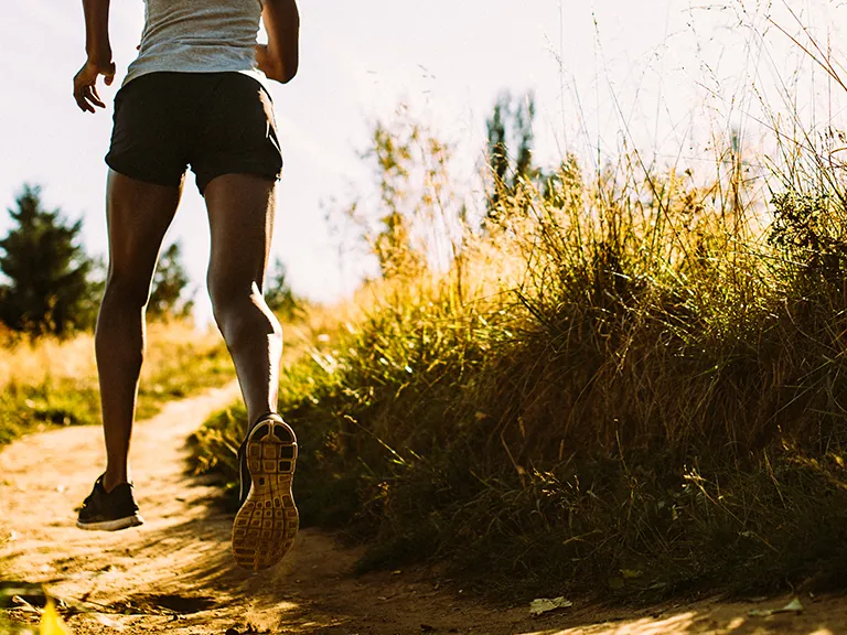 Trail de Dieulefit 2026 - La Rachas Express